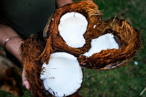 Coconut Cookies